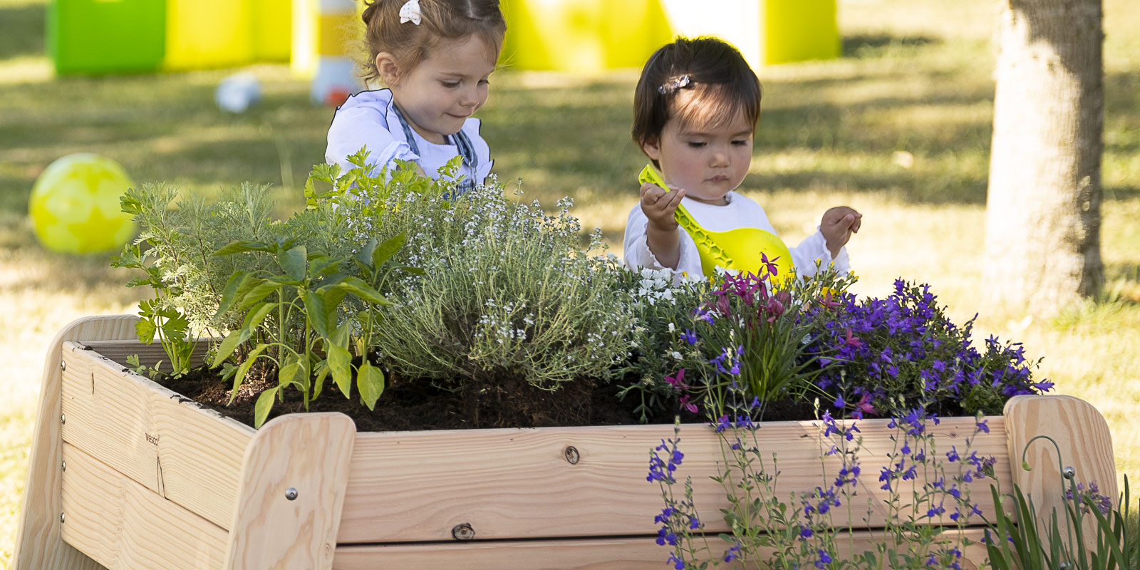 Comment créer un jardin pédagogique en crèche Blog Wesco