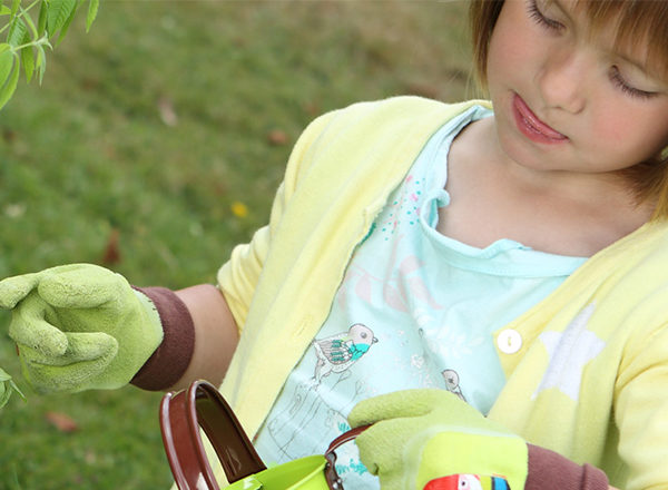 enfant avec arrosoir qui arrose les plantes blog wesco