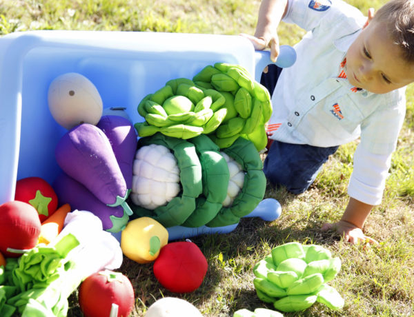 enfant en extérieur avec chariot de légumes renversé blog Wesco