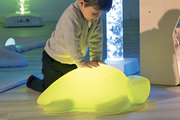 Tortue lumineuse blog wesco