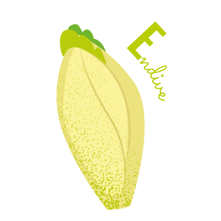 endive abécédaire fruits et légumes blog wesco