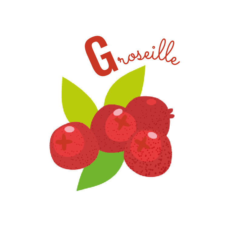 groseille abécédaire fruits et légumes blog wesco