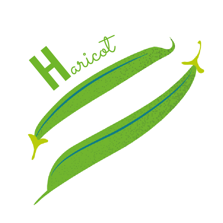 haricot vert abécédaire fruits et légumes blog wesco
