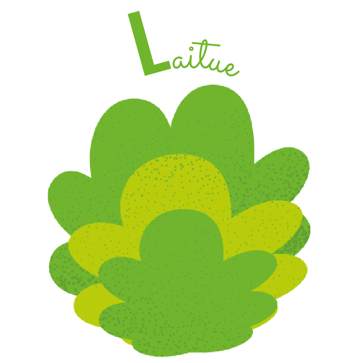 laitue abécédaire fruits et légumes blog wesco