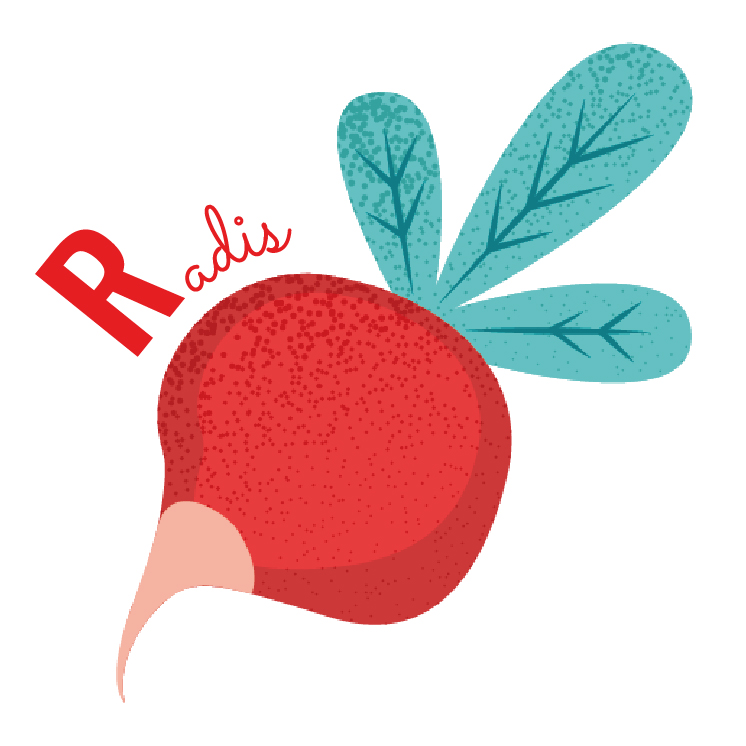 radis abécédaire fruits et légumes blog wesco