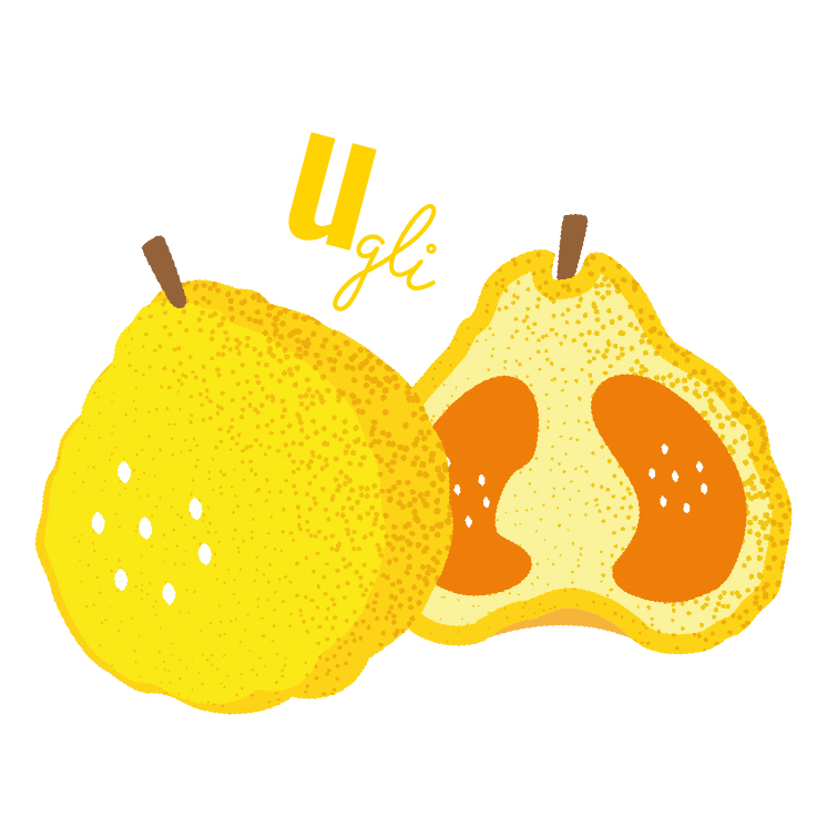 ugli abécédaire fruits et légumes blog wesco