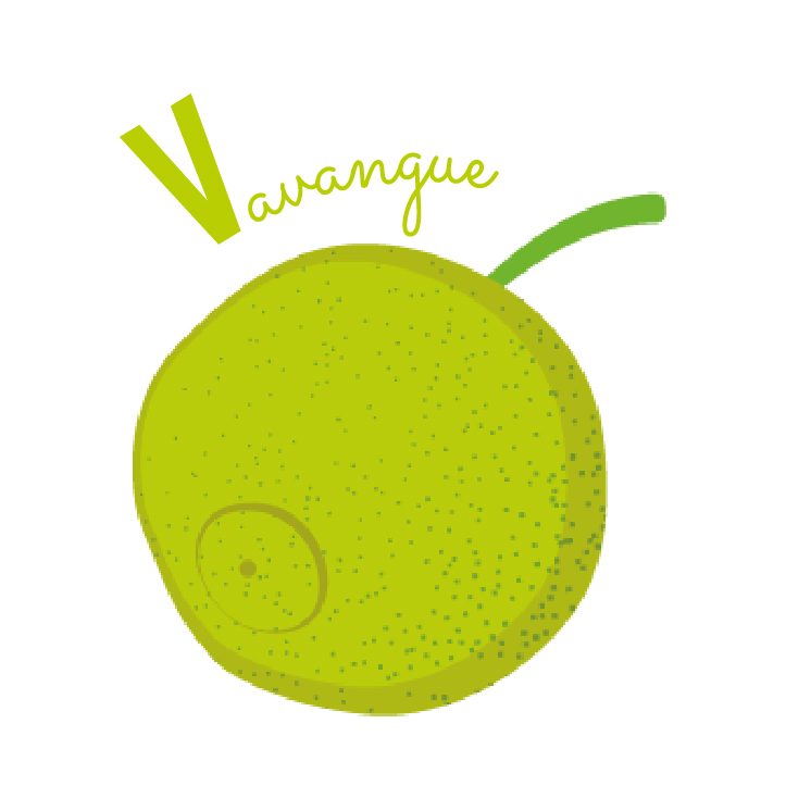 vavangue abécédaire des fruits et légumes blog wesco