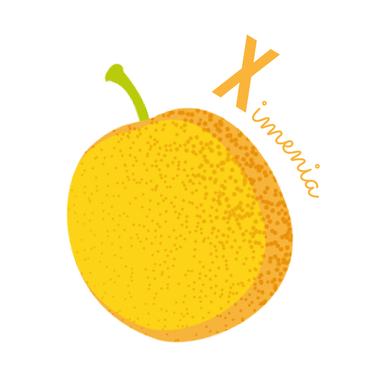 ximenia abécédaire des fruits et légumes blog wesco