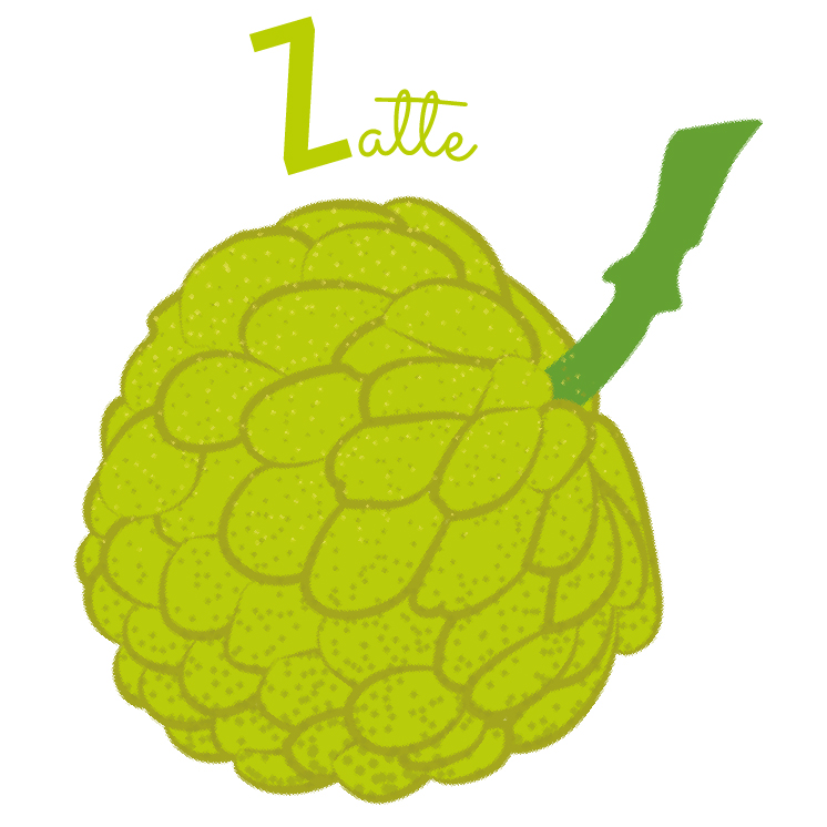 zatte abécédaire fruits et légumes blog wesco